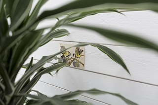 Nichts vergeht (nur das, was vorbeigeht) 