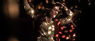 Die Götliche Ordnung