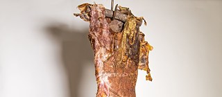 RITIDOMA, 2018; Litografia e látex; 2m X 80m X 20m (edit.)