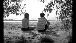 Das satanische Dickicht - DREI