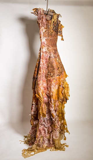 Bagé/RS - Brasil, 1961