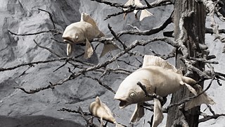 Sog &copy; © Jonatan Schwenk Sog