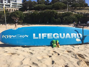 Felix und Franzi in Sydney3