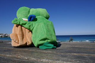 Felix und Franzi in Sydney