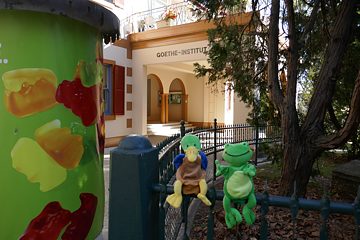 Felix und Franzi in Sydney2