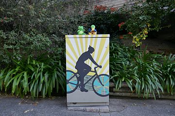 Felix und Franzi in Sydney 7