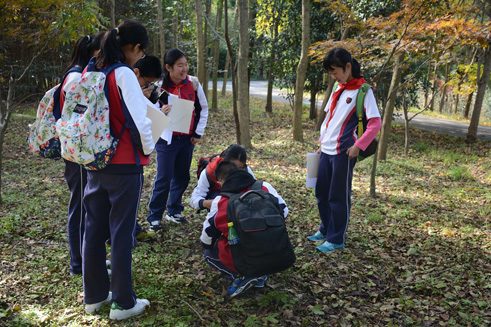 Schülerinnen beschäftigen sich mit Handarbeit im Wald