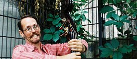 Der Kontrabassist, Komponist und Kurator Christopher A. Williams
