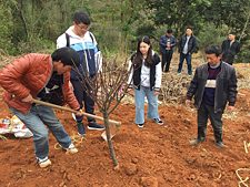 Schülerinnen und Schüler setzen Bäume zusammen mit Mitarbeitern des Forstbetriebs.