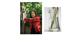 DiaFormen Ana Bilankov