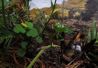 Derrubada para Weingärtner; 2016. Diorama fotográfico; 50 X 70 cm.