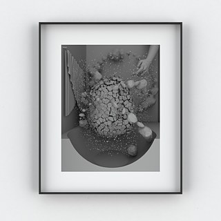 The early bird (sigh) Traces VIII (revisited), 2012. Impressão digital  em papel barita; 50 X 60 cm.