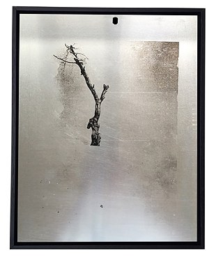 METAL MASTER: Sebastião Salgado (1985). Série DELETE.use; 2014/2015. Transfer de impressão a laser sobre placa de alumínio para offset, pelo processo de gravura em metal, P.A. 31 X 24,5 X 3 cm