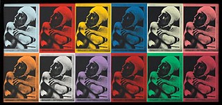 Falso Andy Warhol Meret Oppenheim. Fotocópia sobre papel colorset; 12 lâminas emolduradas juntas; 63 X 130 X 3,3 cm.