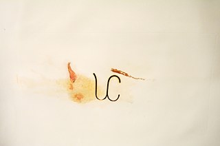 Feuer und Stier, Monotipias do projeto Marca Rural. Fogo e touro em papel 350 g, cada obra 80 X 60cm presentado entre dois vidros 90 X 210 cm (6 obras em total).