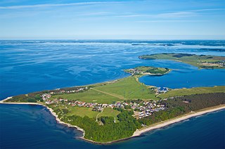 Островът Вилм в Балтийско море: последната девствена гора на Германия
