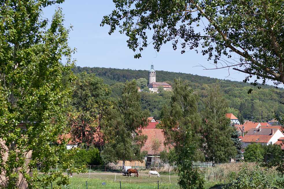 Auf einer kleinen Anhöhe gelegen, ist Schloss Tonndorf schon von weitem gut sichtbar: Seine rund 60 Bewohner, darunter viele Familien, haben sich im Jahr 2005 in einer Genossenschaft organisiert. Gemeinsam wollen sie das denkmalgeschützte Schloss erhalten, solidarisch zusammenleben und eine ökologische Lebensweise verfolgen.