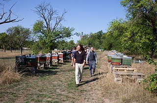 Der Architekt Thomas Meier ist Mitbegründer der Gemeinschaft. In den vergangenen 13 Jahren hat er viel über Tierhaltung und Obstplantagen gelernt, zwei Drittel seines Tages verbringt er in der Natur – unter anderem bei den rund 150 Bienenvölkern der hauseigenen Imkerei.