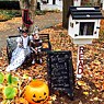 Two Treats, No Tricks! Halloween at a Little Free Library in Indiana