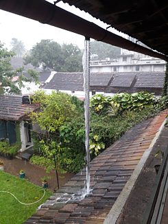 Rain and Chain Lisa Premke