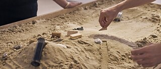 Nicholas Bussmann, Sandbox game WANDERING DUNES, TAXISPALAIS Kunsthalle Tirol, 2018