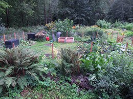 Schrebergarten © Foto: Jochen Schmidt Schrebergarten