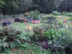 Schrebergarten