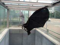 Fledermaus