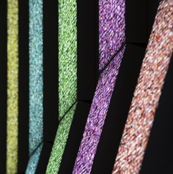 Installation Stelae (Hasan Elahi)