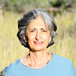 The writer Nasrin Siege