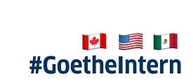 Goethe Intern Logo
