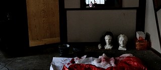 Geschichte einer Missgestalt