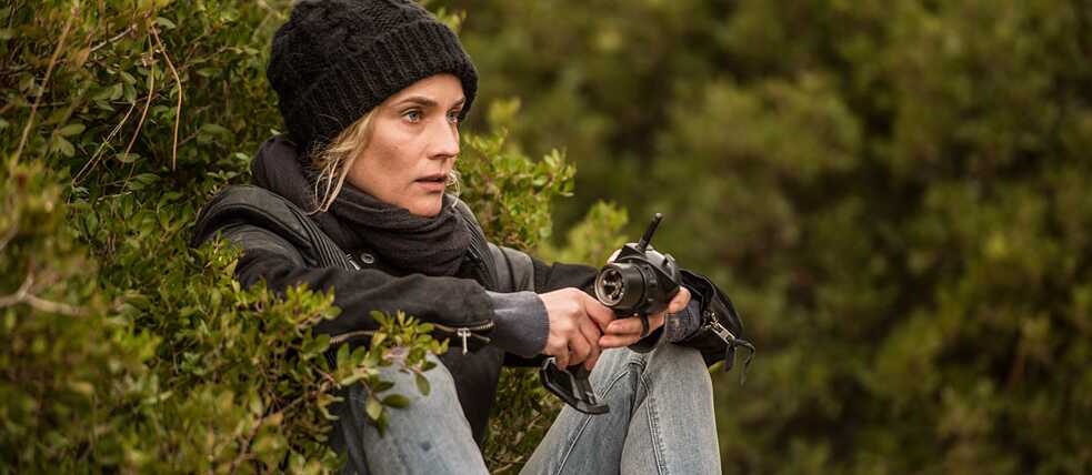 In the Fade