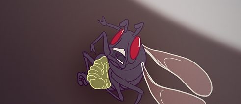 L'Aria Del Moscerino