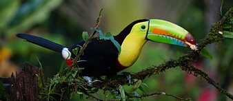 Science Film Festival - Thema 2010: Biodiversity