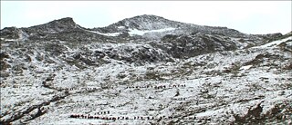 Those who go those who stay