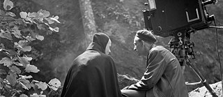 Bergman: A Year in a Life