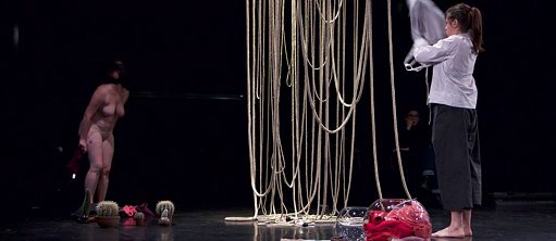 Still To Come, A feminist pornscape