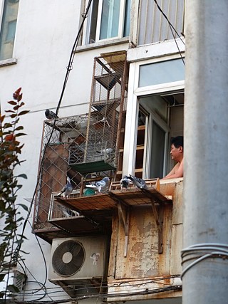 14_Beijing ©   14_Beijing