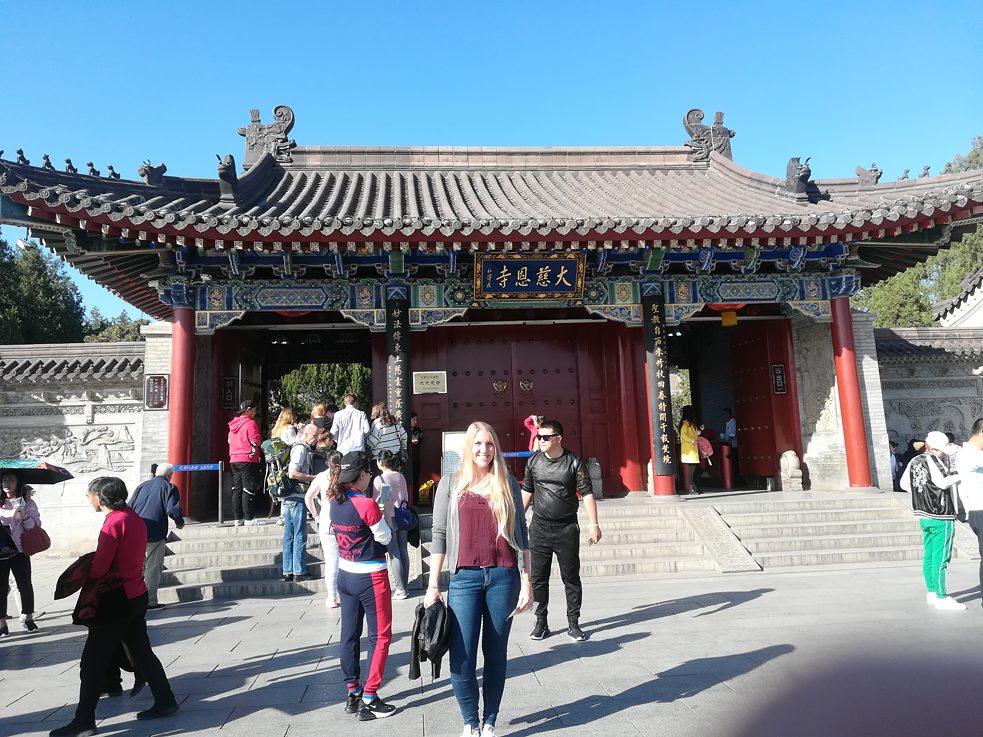 Große Wildganspagode 