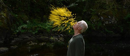 Leaning into the Wind
