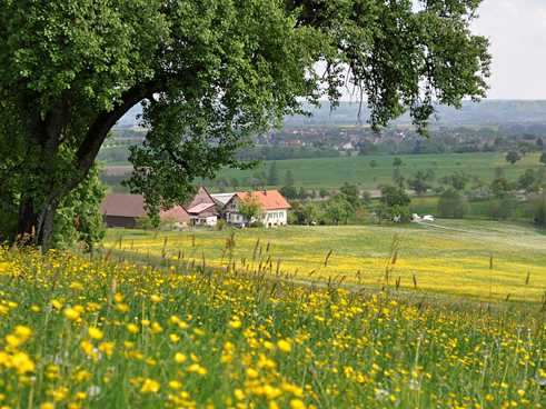 The countryside around Schwäbisch Hall