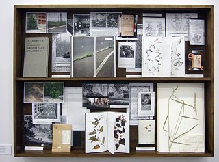 Helmut Völter Plants Vitrine 