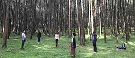 Ethiopian artists and academics gather impressions in Shoa 