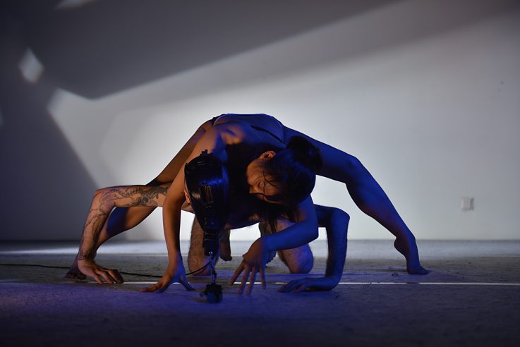 Alia: Zǔ tài_Foto 1_GING