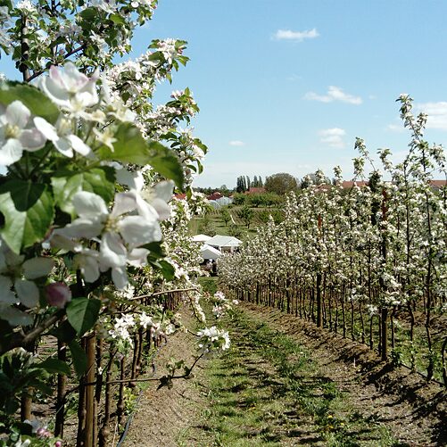 Путешествия по Германии