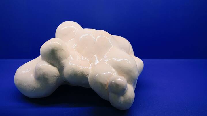 Grégory Chatonsky, Ossuaires, 2018. 