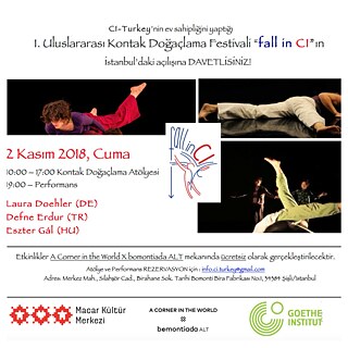 Contact Improvisation-Festival “Fall in CI”