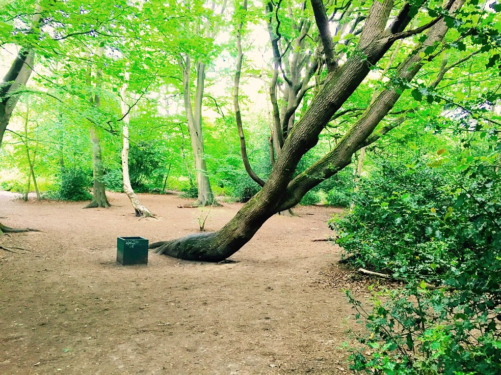 Fuck Tree Event_IMG_4731 (1) 