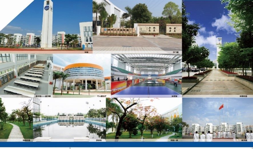 Überblick über den gesamten Schulcampus